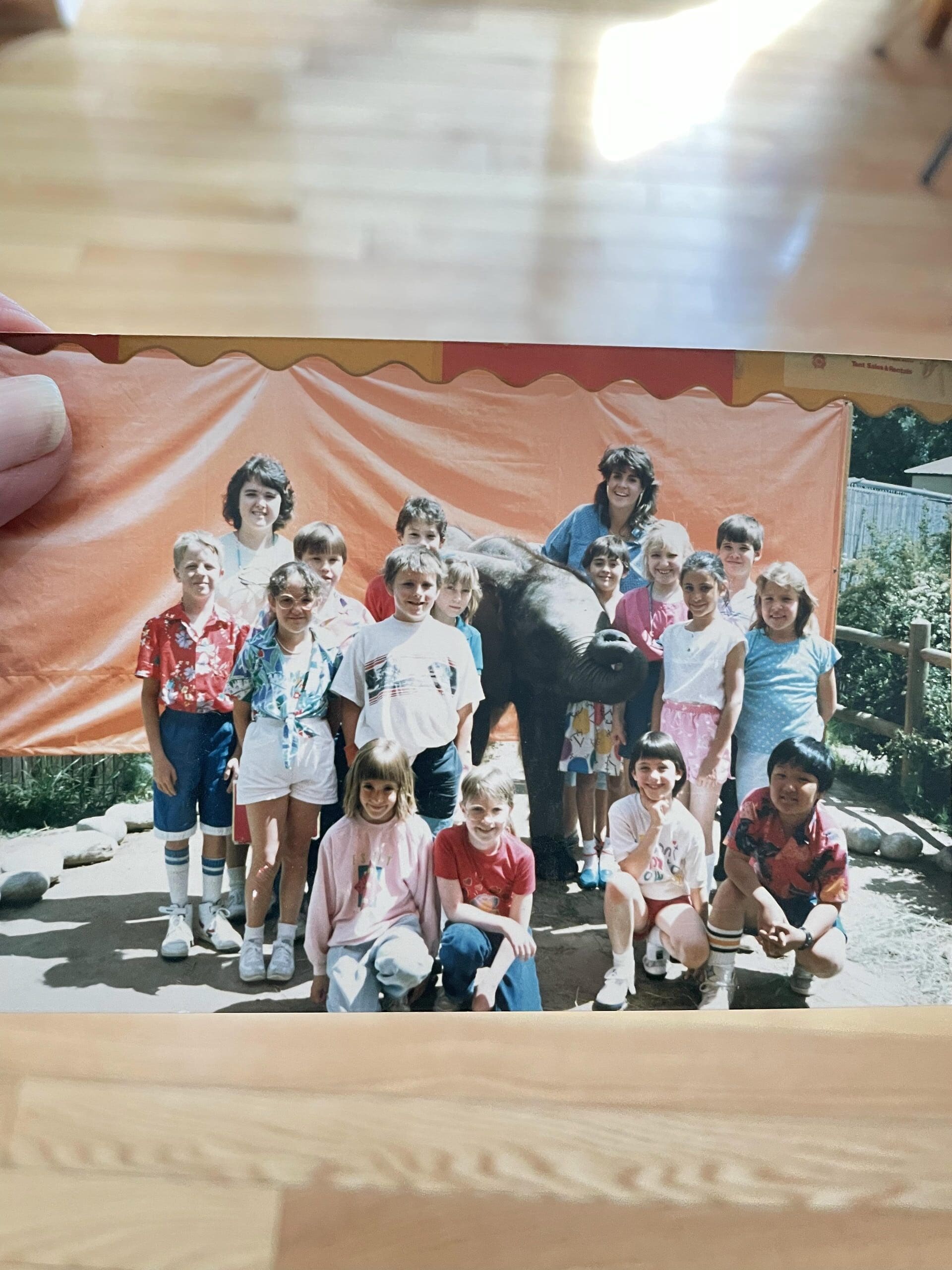 Cris Tovani as a young teacher posing with third grade students and a baby elephant on a zoo field trip